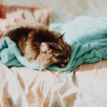 stephane-coudassot-berducou-H9t29UuthwM-unsplash