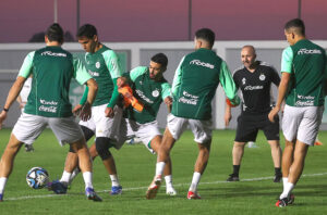 Djamel Belmadi : "J’ai une idée sur l’effectif qui ira à la CAN"