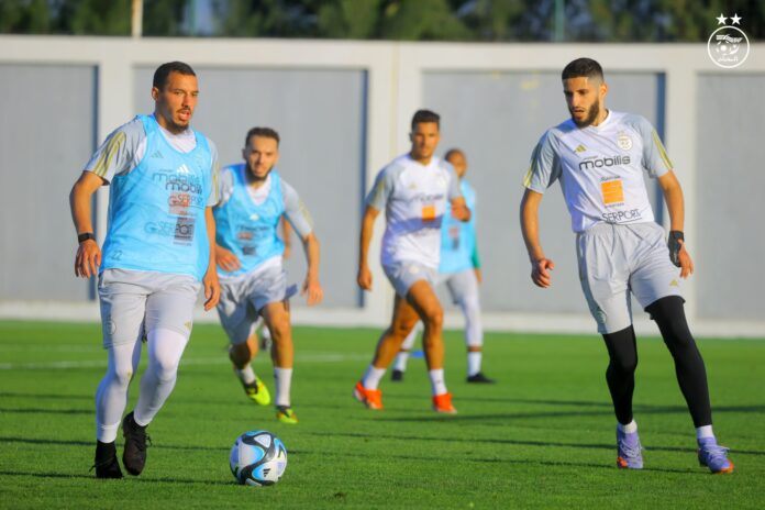 Algérie-Guinée (J-2) : Les Verts au complet pour la 3e séance d'entraînement