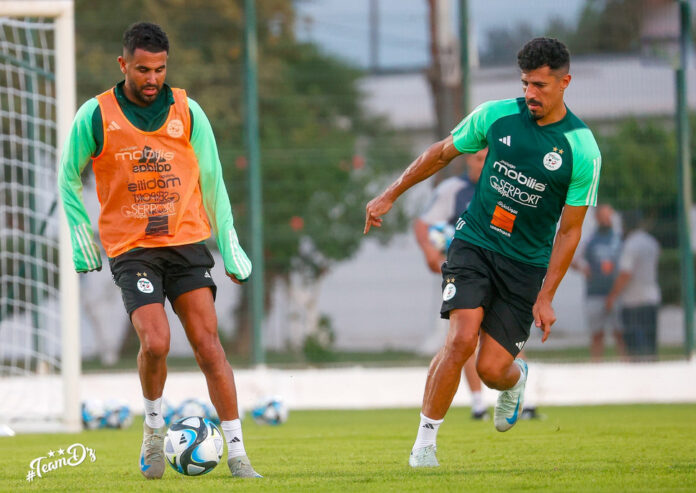 Équipe nationale : Début du stage ce lundi