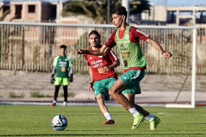 Équipe nationale U20 : Onze binationaux convoqués pour le stage d’Annaba