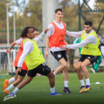 Les Verts