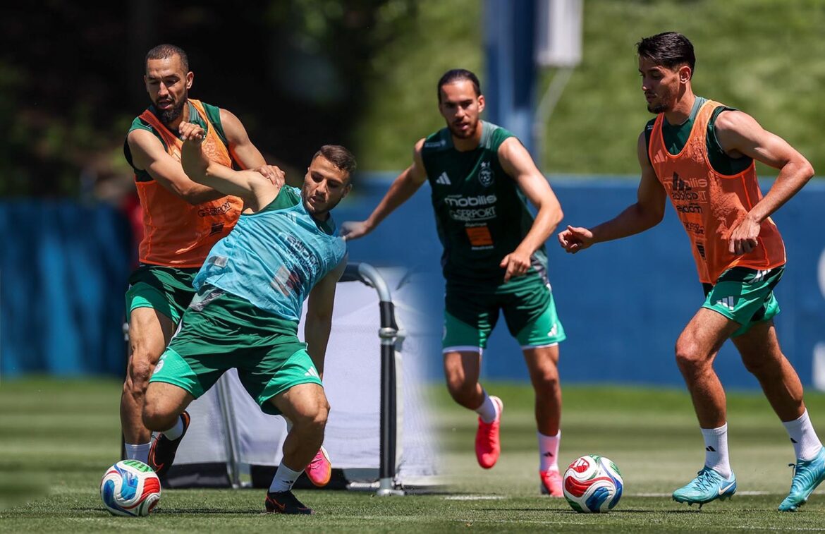Algérie-Argentine (J-5) : Les Verts poursuivent la préparation