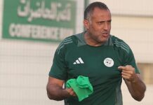 Équipe nationale : Brahim Hemdani dévoilera sa première liste ce jeudi Équipe nationale : Brahim Hemdani dévoilera sa première liste ce jeudi