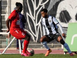 Ligue 1 : Les joueurs étrangers, un pari qui peine à convaincre 
