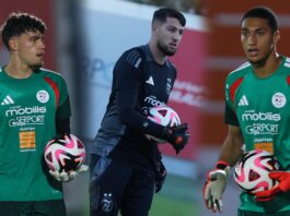 Équipe nationale : Qui sera le gardien titulaire ?