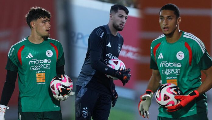 Équipe nationale : Qui sera le gardien titulaire ?