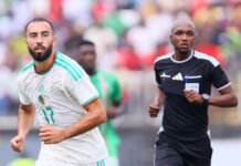 Equipe nationale : Abdelli apte face au Niger ? Equipe nationale : Abdelli apte face au Niger ?