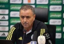 Mouloudia d’Alger : L’arrivée d’Amer Mansoul tombe à l’eau Mouloudia d'Alger : L'arrivée d'Amer Mansoul tombe à l'eau