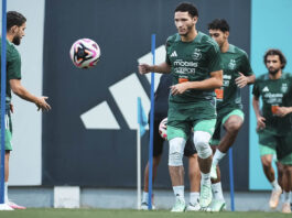 Les Verts de retour à l'entraînement pour préparer le Niger